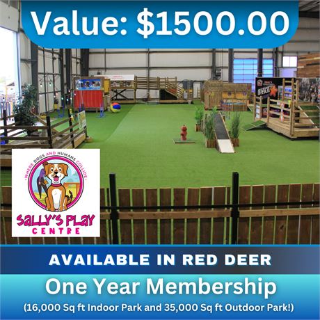 One Year Membership at Sally's Play Centre