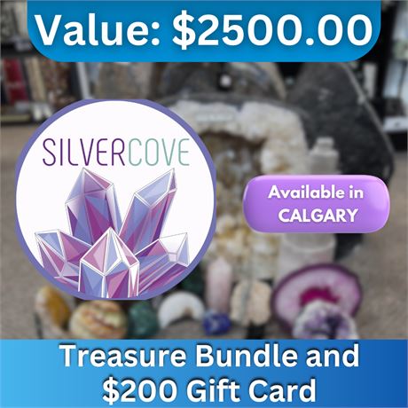 Treasure Bundle and $200 Gift Certificate
