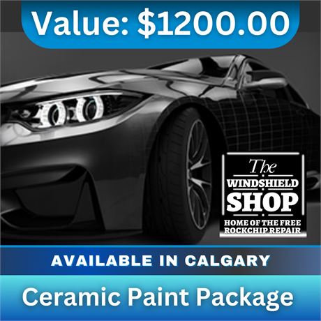 Ceramic Paint Package