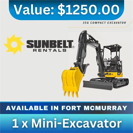 1 x Mini-Excavator