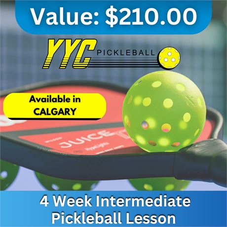 YYC Pickleball -4 Week Intermediate Pickleball Lessons