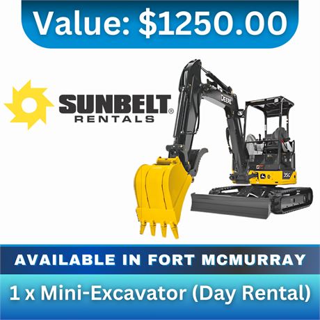 1 x Mini-Excavator