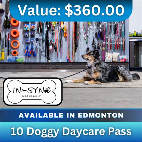 10 Doggy Daycare Pass