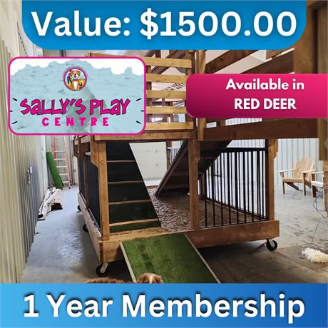 Sally's Play Centre 1 Year Membership
